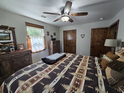 Country Home & Turnkey Recreational Property - image 17