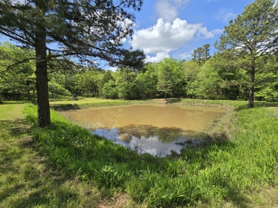 Country Home & Turnkey Recreational Property - image 38