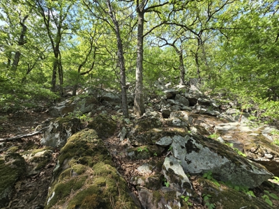 Country Home & Turnkey Recreational Property - image 42