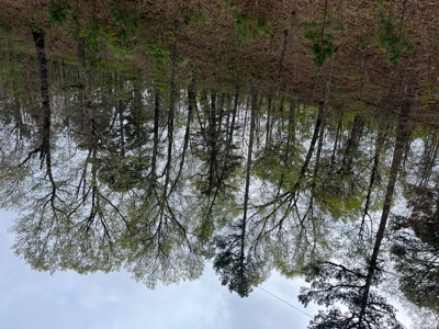 Mountain Land For Sale Near Lake Eucha South Of Jay, Oklahoma - image 1