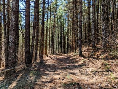 Country Home With 87.82 Acres For Sell In Carroll County, Virgina - image 16