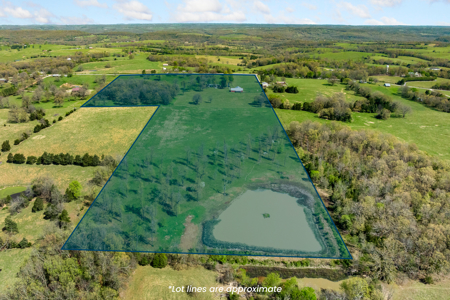 60-Acre Farm with Pond, Barn & Home in Boone County, Arkansas - image 49