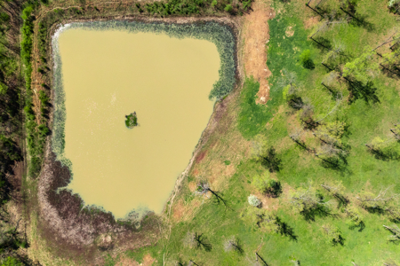 60-Acre Farm with Pond, Barn & Home in Boone County, Arkansas - image 22