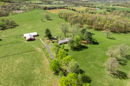 60-Acre Farm with Pond, Barn & Home in Boone County, Arkansas - image 10