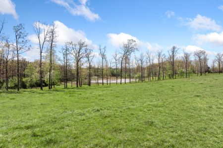 60-Acre Farm with Pond, Barn & Home in Boone County, Arkansas - image 20