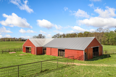 60-Acre Farm with Pond, Barn & Home in Boone County, Arkansas - image 14