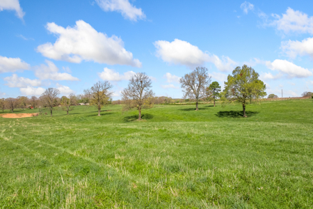 60-Acre Farm with Pond, Barn & Home in Boone County, Arkansas - image 8