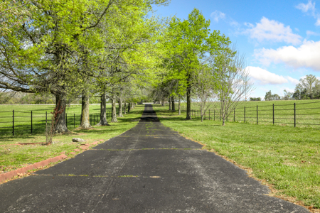60-Acre Farm with Pond, Barn & Home in Boone County, Arkansas - image 47