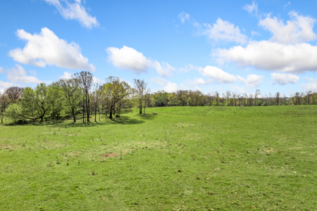 60-Acre Farm with Pond, Barn & Home in Boone County, Arkansas - image 17