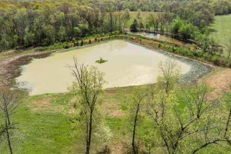 60-Acre Farm with Pond, Barn & Home in Boone County, Arkansas - image 21