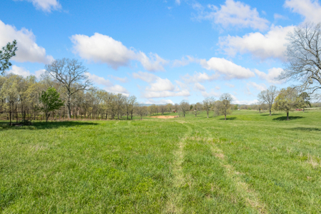 60-Acre Farm with Pond, Barn & Home in Boone County, Arkansas - image 6
