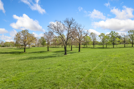 60-Acre Farm with Pond, Barn & Home in Boone County, Arkansas - image 9