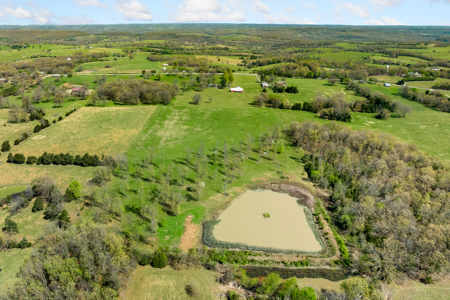 60-Acre Farm with Pond, Barn & Home in Boone County, Arkansas - image 1