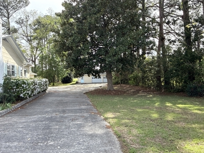 Home in Town in Washington, NC - Near Jack's Creek - image 8