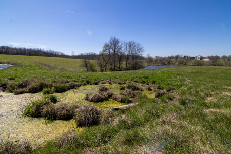 40 Acres And Home In Ray County Mo - image 12