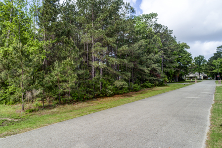 Benders Landing Lot For Sale Spring,Texas - image 1