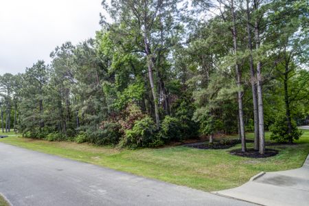 Benders Landing Lot For Sale Spring,Texas - image 2