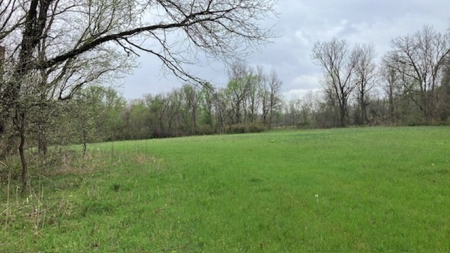 Beautiful Acreage With Martin Creek Frontage Williford Arkansas - image 11