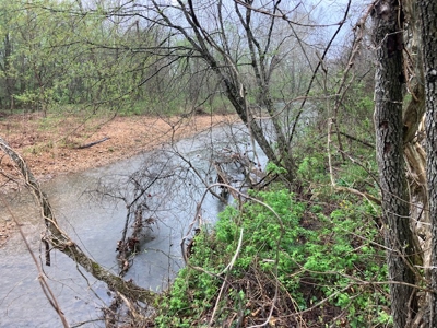 Beautiful Acreage With Martin Creek Frontage Williford Arkansas - image 3