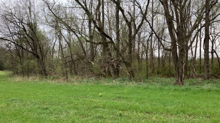 Beautiful Acreage With Martin Creek Frontage Williford Arkansas - image 10