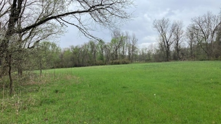 Beautiful Acreage With Martin Creek Frontage Williford Arkansas - image 6
