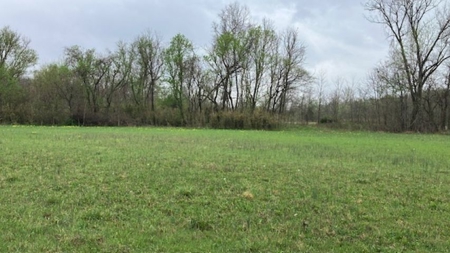 Beautiful Acreage With Martin Creek Frontage Williford Arkansas - image 13