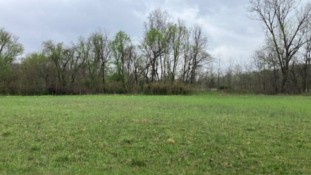 Beautiful Acreage With Martin Creek Frontage Williford Arkansas - image 15