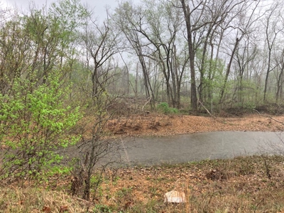 Beautiful Acreage With Martin Creek Frontage Williford Arkansas - image 23