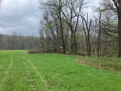 Beautiful Acreage With Martin Creek Frontage Williford Arkansas - image 21