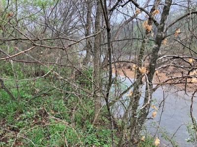 Beautiful Acreage With Martin Creek Frontage Williford Arkansas - image 8