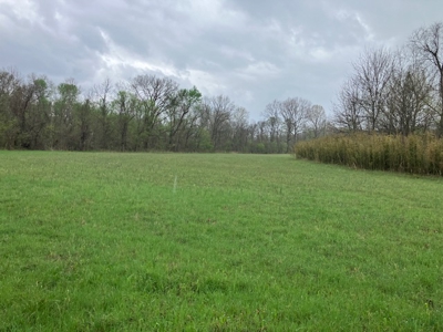 Beautiful Acreage With Martin Creek Frontage Williford Arkansas - image 17