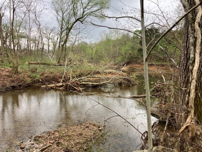 Beautiful Acreage With Martin Creek Frontage Williford Arkansas - image 9