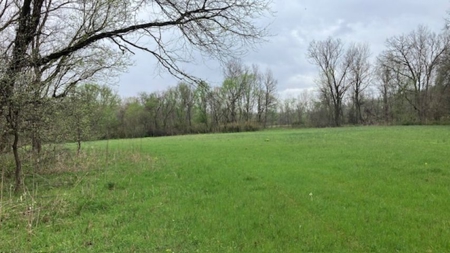 Beautiful Acreage With Martin Creek Frontage Williford Arkansas - image 4
