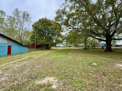Commercial Properety for sale Esto Florida - Holmes County Hwy 79 - image 22