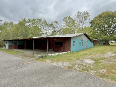 Commercial Properety for sale Esto Florida - Holmes County Hwy 79 - image 2