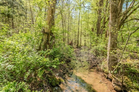 Hunter's Paradise! 91+/- Acres With Cabin For Sale in Middle TN - image 32