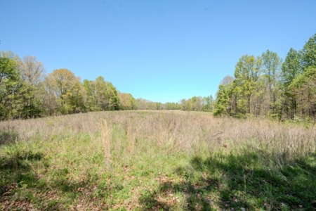Hunter's Paradise! 91+/- Acres With Cabin For Sale in Middle TN - image 27