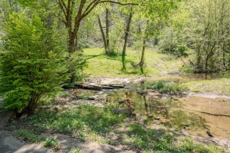 Hunter's Paradise! 91+/- Acres With Cabin For Sale in Middle TN - image 21