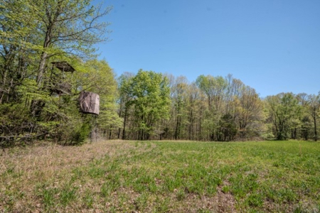 Hunter's Paradise! 91+/- Acres With Cabin For Sale in Middle TN - image 30