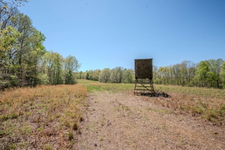 Hunter's Paradise! 91+/- Acres With Cabin For Sale in Middle TN - image 24