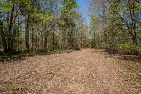 Hunter's Paradise! 91+/- Acres With Cabin For Sale in Middle TN - image 28
