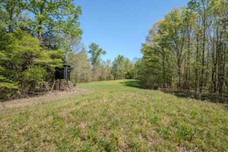 Hunter's Paradise! 91+/- Acres With Cabin For Sale in Middle TN - image 25