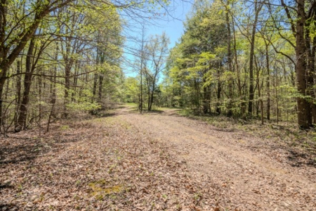 Hunter's Paradise! 91+/- Acres With Cabin For Sale in Middle TN - image 31