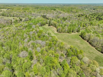 Hunter's Paradise! 91+/- Acres With Cabin For Sale in Middle TN - image 23