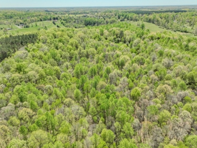 Hunter's Paradise! 91+/- Acres With Cabin For Sale in Middle TN - image 33