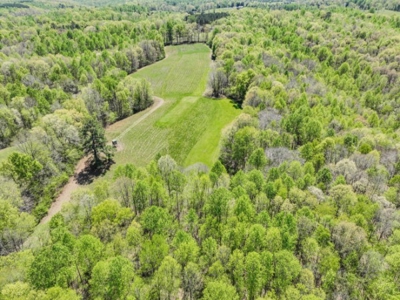 Hunter's Paradise! 91+/- Acres With Cabin For Sale in Middle TN - image 3