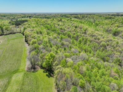 Hunter's Paradise! 91+/- Acres With Cabin For Sale in Middle TN - image 22