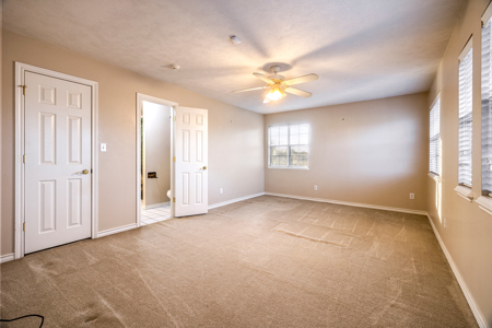 Premier Country Home for Sale in Bowie County, New Boston Texas - image 25