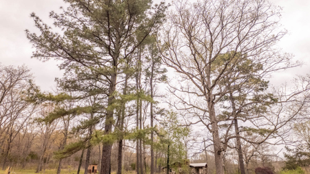 Country Home in the Arkansas Ozarks | Williford - image 33