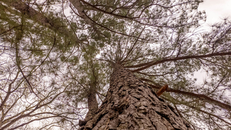 Country Home in the Arkansas Ozarks | Williford - image 35